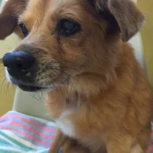 Meet your Posher, Dianna